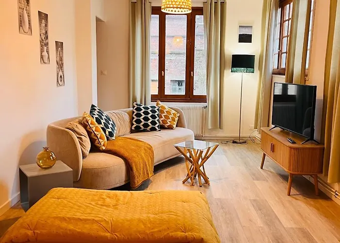 Appartement Duplex Du Palais Douai