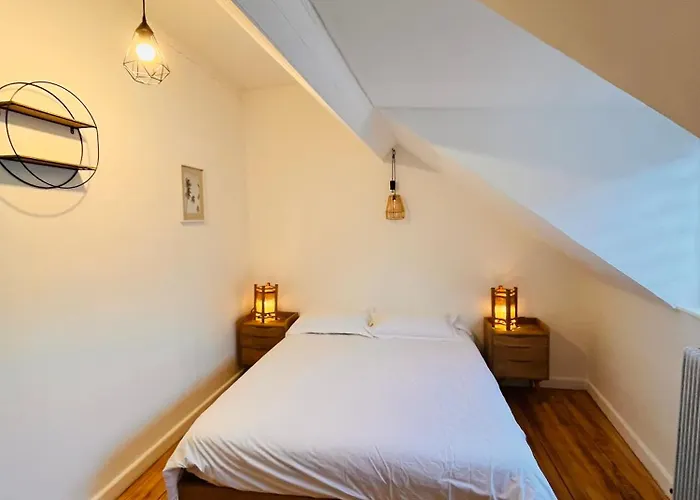 Appartement Duplex Du Palais *